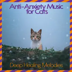 Soft Songs for Cats Song Lyrics