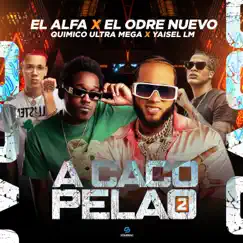 A Caco Pelao 2 (feat. El Alfa) Song Lyrics