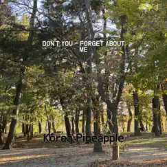Don't You - Forget About Me Song Lyrics