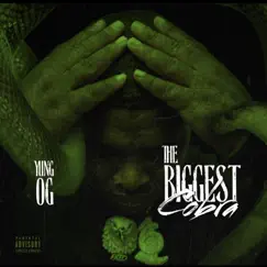 The Biggest Cobra by Yung Og album reviews, ratings, credits