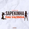 Sapekinha Malvadinha - Single album lyrics, reviews, download