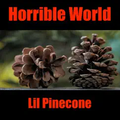 Horrible World by Lil Pinecone album reviews, ratings, credits