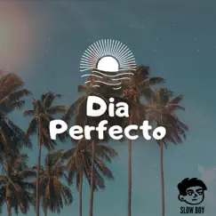 Día Perfecto - Single by Slow Boy album reviews, ratings, credits
