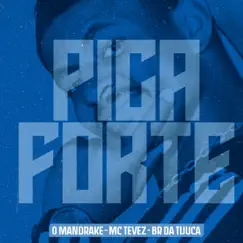 Pica Forte Song Lyrics