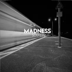 Madness - Single by Soulzay album reviews, ratings, credits