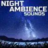Night Ambience Sounds (feat. Nature Sounds Explorer, OurPlanet Soundscapes, Paramount White Noise Soundscapes & White Noise Plus) album lyrics, reviews, download