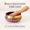 Bols chantants tibétains et son de Bouddha: Chakra, méditation de guérison Reiki album lyrics, reviews, download