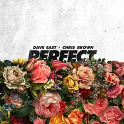 Perfect (feat. Chris Brown) Song Lyrics