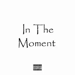 In the Moment - Single by Sean Lutez album reviews, ratings, credits