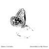 Butterflies in My House - Single album lyrics, reviews, download