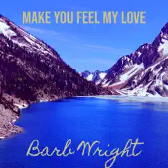 Make You Feel My Love - Single by Barb Wright album reviews, ratings, credits