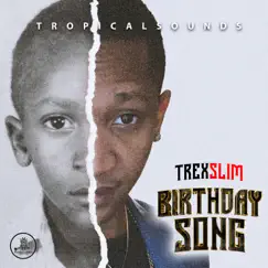 Birthday Song - Single by Trexslim album reviews, ratings, credits