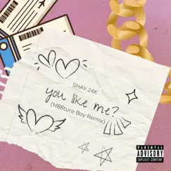 You Like Me (N88ture Boy Remix) - Single by Shay 24K album reviews, ratings, credits