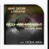 You Are My Light (Defmann Remix) [feat. Cecilia Krull] - Single album lyrics, reviews, download