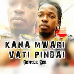 Kana Mwari Vati Pindai - Single by Gentle Zee album reviews, ratings, credits