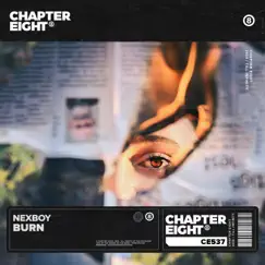 Burn - Single by Nexboy album reviews, ratings, credits