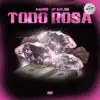 TODO ROSA EP (feat. Andro & JP Majin) album lyrics, reviews, download