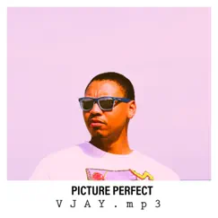 Picture Perfect - Single by VJAY.mp3 album reviews, ratings, credits