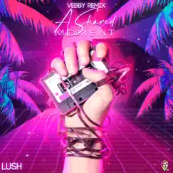 A Shared Moment (Vebby Remix) - Single by Lush album reviews, ratings, credits