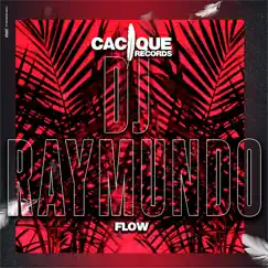 Flow - Single by DJ Raymundo album reviews, ratings, credits