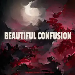 Beautiful Confusion (feat. Connor Scalzo) Song Lyrics