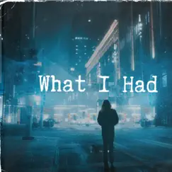 What I Had - Single by Liam Bailey album reviews, ratings, credits
