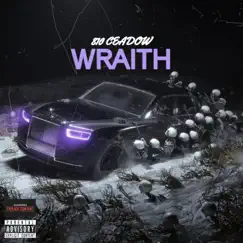 Wraith - Single by 810Ceadow album reviews, ratings, credits