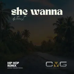She Wanna (HIP HOP REMIX) Song Lyrics