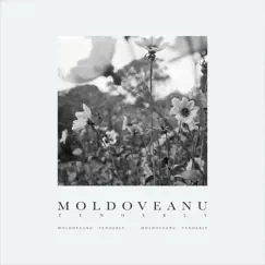 Tenderly - Single by Moldoveanu album reviews, ratings, credits