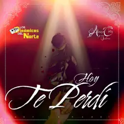 Hoy Te Perdí (feat. Alonso Cota y Sus Guitarras) Song Lyrics