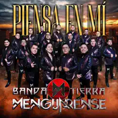 Piensa en mi - Single by Banda Tierra Menguarense album reviews, ratings, credits