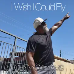 I Wish I Could Fly - Single by Johnny Williams album reviews, ratings, credits