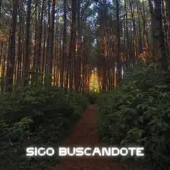 Sigo Buscandote - Single by Soldado album reviews, ratings, credits