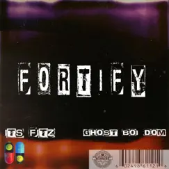 Fortify - Single by It's Fitz & Ghost Boi Dxm album reviews, ratings, credits