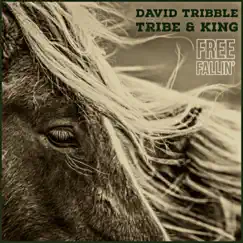 Free Fallin' - Single by Tribe & King & David Tribble album reviews, ratings, credits