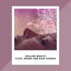Healing Breath: Flute, Drums and Rain Sounds album lyrics, reviews, download