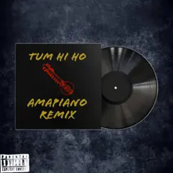 Tum Hi Ho (amapiano remix) Song Lyrics