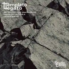SHY SPANNER (feat. SHY SPANNER & Osurek Bertop) - Single by Template Legato album reviews, ratings, credits