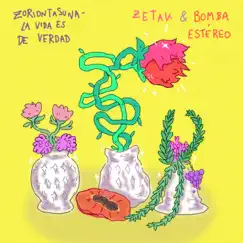 Zoriontasuna (La vida es de verdad) - Single by ZETAK & Bomba Estéreo album reviews, ratings, credits