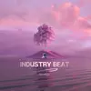 Industry Beat (Tiktok) [Remix] song lyrics
