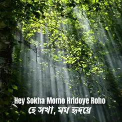 Hey Sokha Momo Hridoye Roho - Single by Ananda Gaan album reviews, ratings, credits