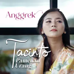 Tacinto Pamenan Urang - Single by Anggrek album reviews, ratings, credits