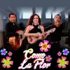 Como La Flor - Single album lyrics, reviews, download