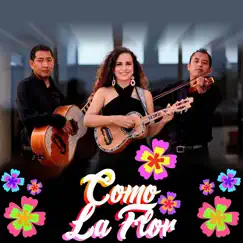 Como La Flor - Single by Trio Corazón Hidalguense album reviews, ratings, credits