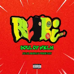 Ryobi (feat. Bohan Phoenix) - Single by Soul of Hrlm album reviews, ratings, credits