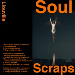 Soul Scraps - Single by Liouville album reviews, ratings, credits