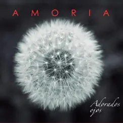 Adorados Ojos by Amoria album reviews, ratings, credits