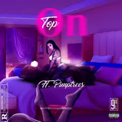 On Top (feat. Pimptress) - Single by DuceyDaPhatom album reviews, ratings, credits