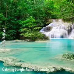 Calming Jungle Natural Soundscape, Pt. 5 Song Lyrics