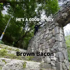 He's a Good Ol Boy - Single by Brown Bacon album reviews, ratings, credits